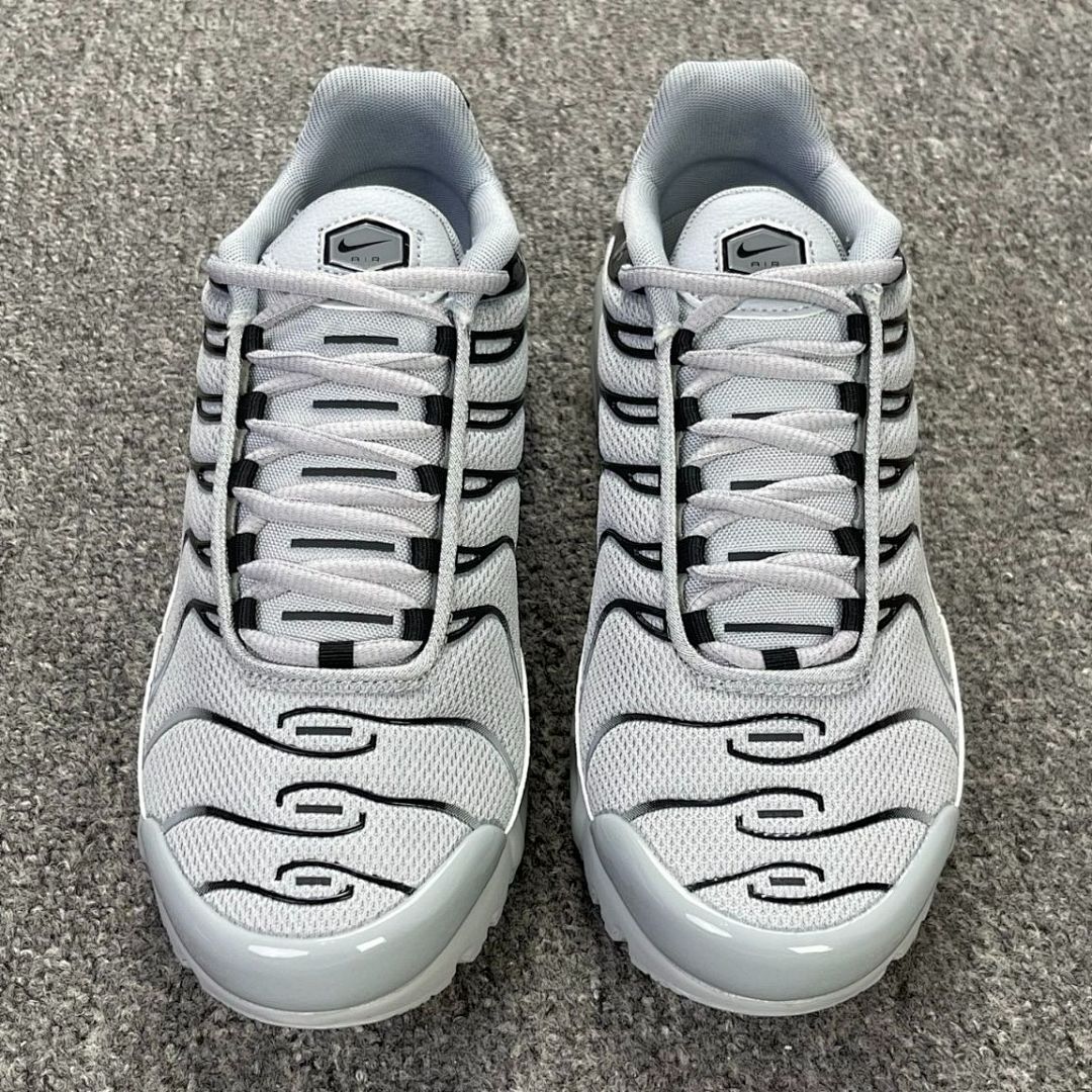 Nike Air Max Plus Wolf Grey Black DH4776-001