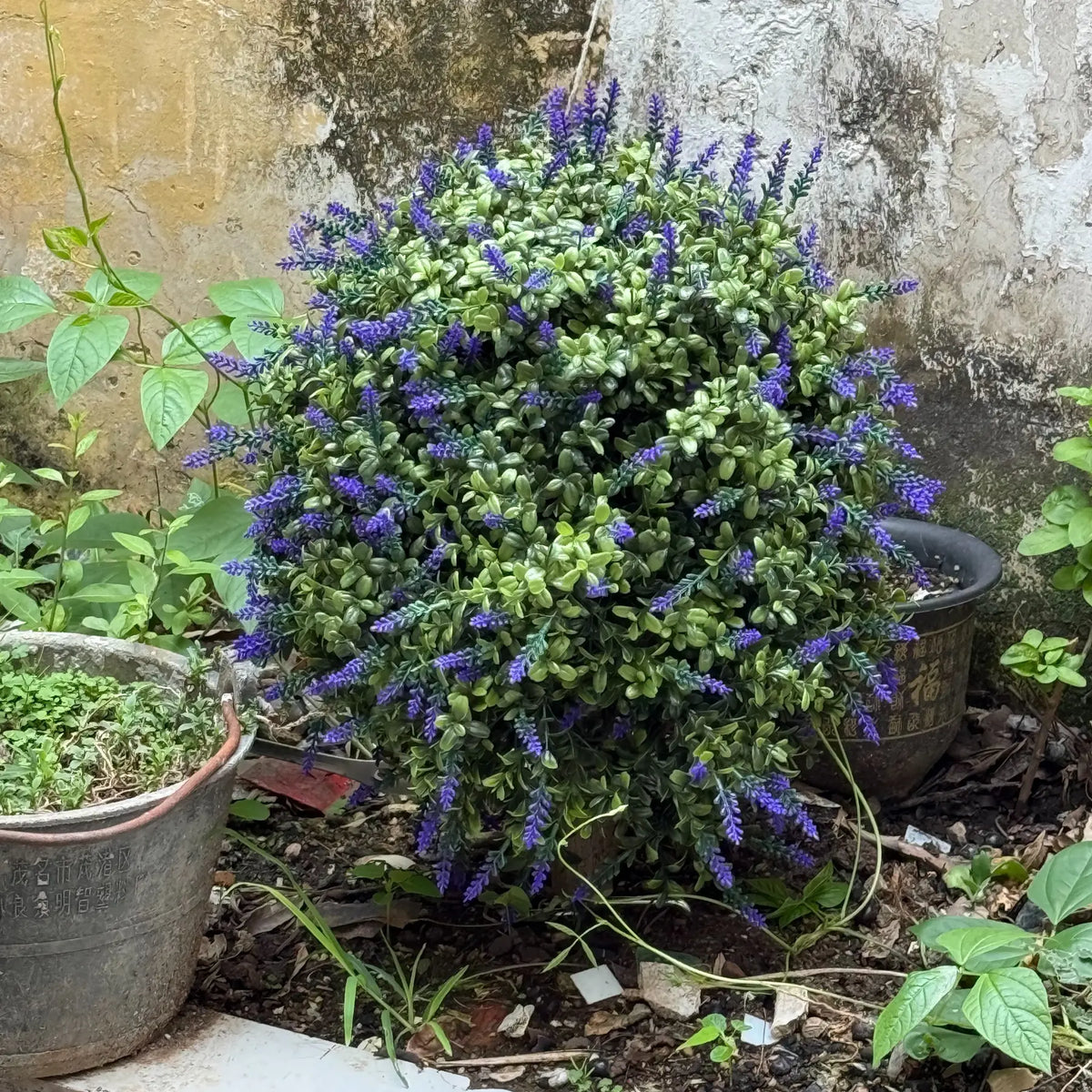 Pair of Purple Artificial Topiary Shrubs with Ground Stakes